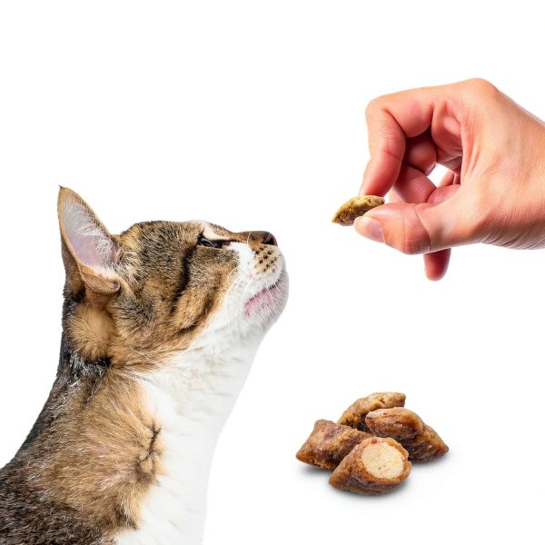 Blue Buffalo Cat Treats Real Chicken Crunchy Healthy-8