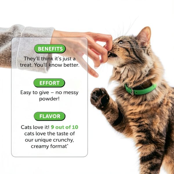 Pet Honesty Cat Hairball Treats Natural Fiber Supplement-4