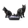 ARM HAMMER Platinum Clumping Cat Litter Odor Control-4