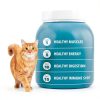 IAMS Proactive Health Indoor Cat Food Hairball Control-4