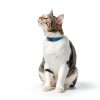 Mars Petcare Cat Treats Seafood Crunchy Low Calorie Snacks-9