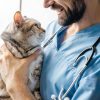 Advantage II Large Cat Flea Treatment Vet Recommended-3