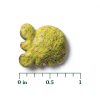 Greenies Feline Dental Cat Treats Natural Ingredients Vet-6
