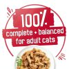 Friskies Prime Filets Wet Cat Food Real Meat Variety Pack-5