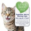 Cat Litter Oil Dri Max Power Odor Control Unscented-5