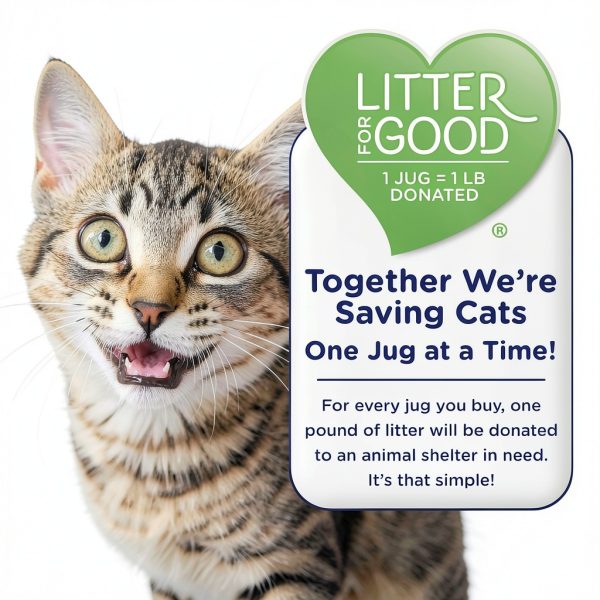 Cat Litter Oil Dri Max Power Odor Control Unscented-5