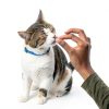 Mars Crunchy Cat Treats Chicken Flavor Low Calorie Snacks-10