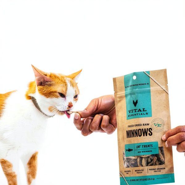Vital Essentials Freeze Dried Cat Treats Raw Protein Minnows-5