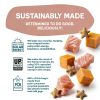 Shameless Pets Cat Treats Real Meat Skin Coat Support-6