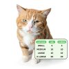Pet Honesty Cat Hairball Treats Natural Fiber Supplement-8