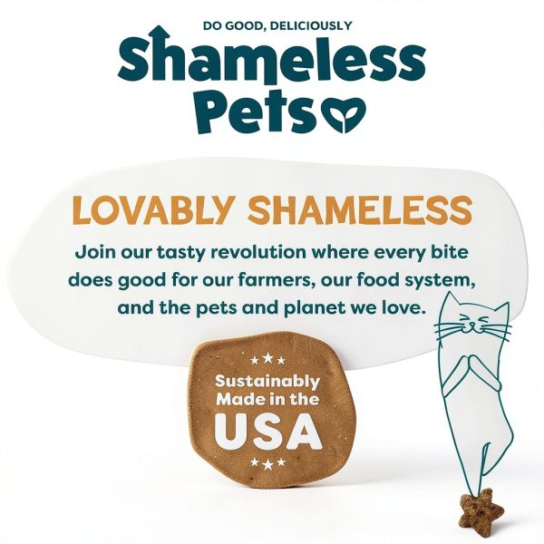 Shameless Pets Catnip Cat Treats Crunchy Digestive Health-6
