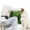 AUDWUD Dog Treat Pouch Silicone Training Clicker Waistband-5