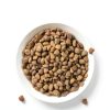 IAMS Proactive Health Indoor Cat Food Hairball Control-11