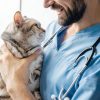 Advantage II Large Cat Flea Treatment Vet Recommended-3