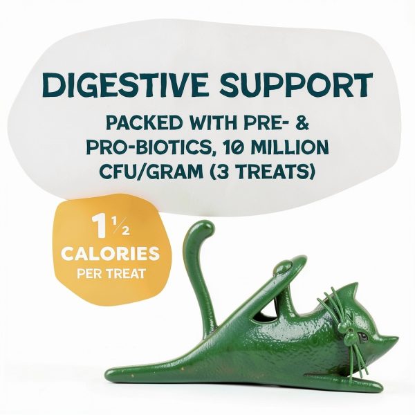 Shameless Pets Catnip Cat Treats Crunchy Digestive Health-3