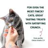 Shameless Pets Cat Treats Chicken Cranberry Crunchy Stars-3