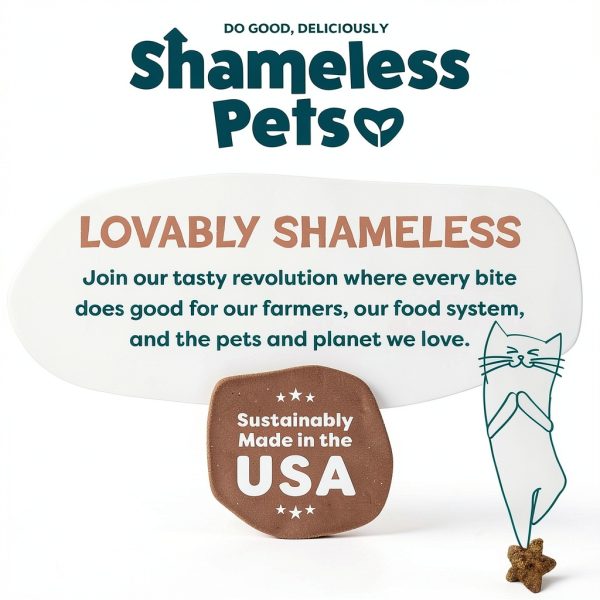 Shameless Pets Cat Treats Real Meat Skin Coat Support-7