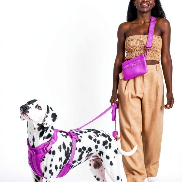 Wild One Dog Treat Pouch Eco Friendly Fanny Pack Crossbody-6