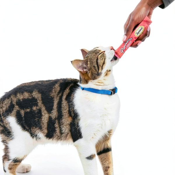 Temptations Creamy Puree Wet Cat Treats Mars Petcare-10