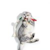 Potaroma Catnip Chew Toys Natural Rope Teething Kittens-3