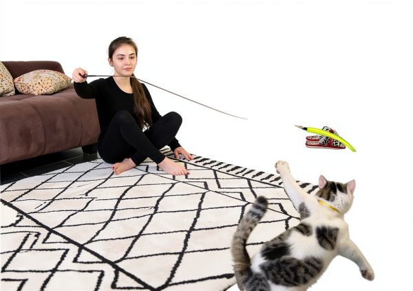 MeoHui Cat Wand Toy Feather Interactive Play Telescopic-6