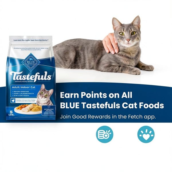 Blue Buffalo Indoor Cat Food Chicken Brown Rice Recipe-2
