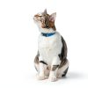 Mars Crunchy Cat Treats Chicken Flavor Low Calorie Snacks-9