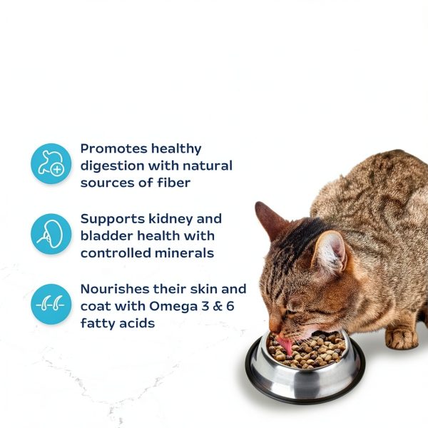 Blue Buffalo Indoor Cat Food Chicken Brown Rice Recipe-3