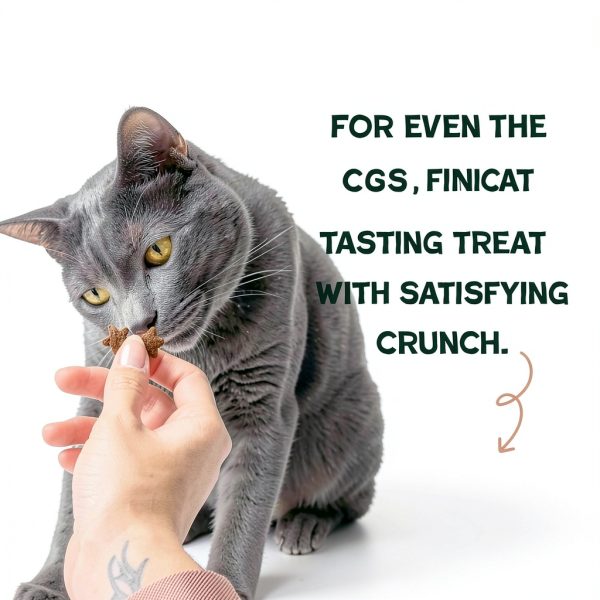 Shameless Pets Cat Treats Real Meat Skin Coat Support-3