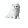 Fancy Feast Kitten Wet Food Variety Pack Real Ingredients-4