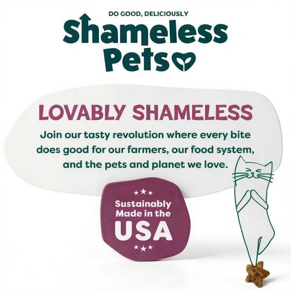 Shameless Pets Cat Treats Chicken Cranberry Crunchy Stars-7