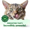 Greenies Feline Dental Cat Treats Natural Ingredients Vet-11