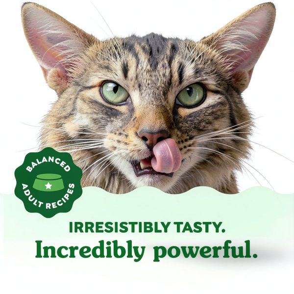 Greenies Feline Dental Cat Treats Natural Ingredients Vet-11