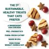Shameless Pets Cat Treats Chicken Cranberry Crunchy Stars-2