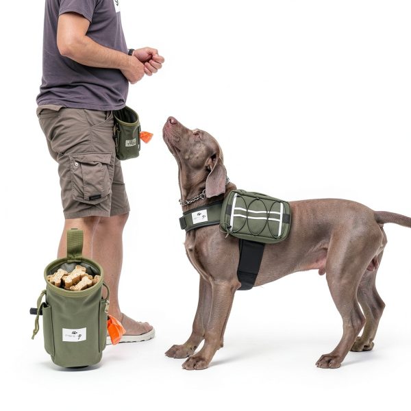Inspector Tail Dog Treat Pouch Water Resistant-6