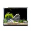 3 Gallon Glass Fish Tank Cube Wonderfactory Rimless Desktop Aquarium-0