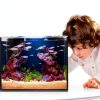 3 Gallon Glass Fish Tank Cube Wonderfactory Rimless Desktop Aquarium-7
