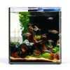 3 Gallon Glass Fish Tank Cube Wonderfactory Rimless Desktop Aquarium-5