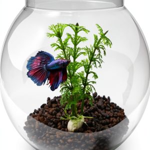 Newpol Mini Plastic Aquarium Fish Bowls (0.8Gallon / 3L)-0