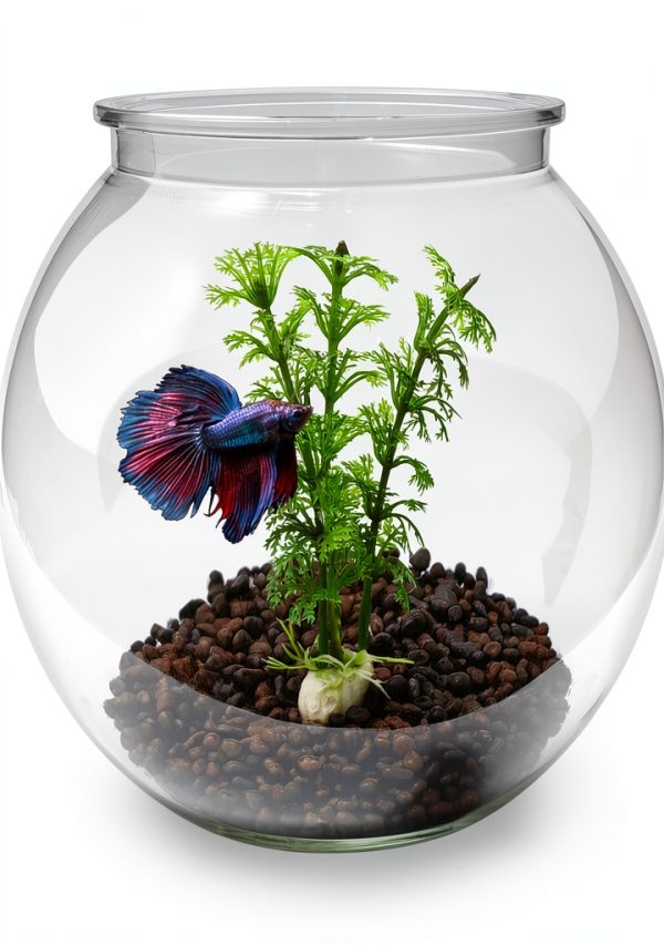 Newpol Mini Plastic Aquarium Fish Bowls (0.8Gallon / 3L)-0
