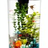Koller Products Plastic 6-Gallon AquaView 360 Aquarium Kit for Tropical Fish, Betta Fish with LED Lighting and Power Filter Clear, 4-Piece Set-0