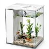 Fish Tank Betta Starter Kit 1 Gallon Aquarium charmshine LED & Filter-5