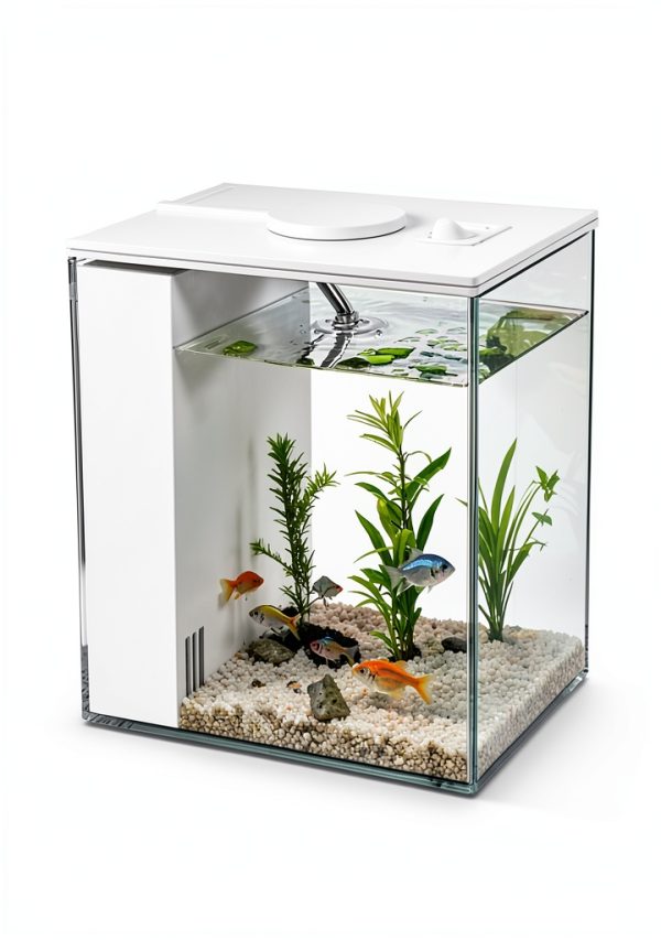 Fish Tank Betta Starter Kit 1 Gallon Aquarium charmshine LED & Filter-5