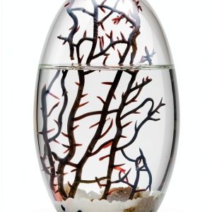 Ecosystem- Closed Ecosystem, Small Oval 5" with 2-3 Shrimp-0
