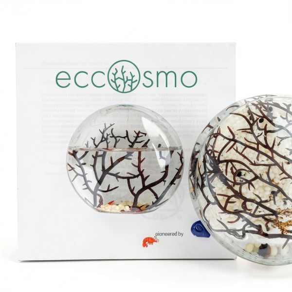 Ecosystem- Closed Ecosystem, Small Oval 5" with 2-3 Shrimp-2