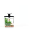 1.5 Gallon Aquarium Starter Kit Wagrvuy Plastic Tank with Quiet Pump-6