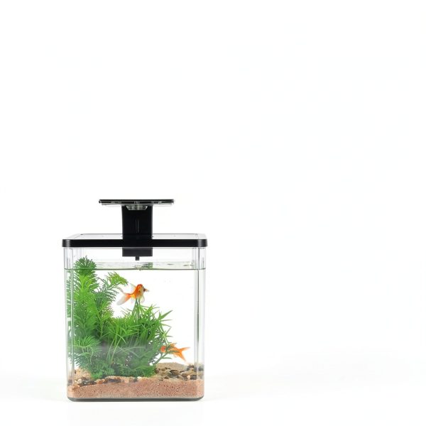 1.5 Gallon Aquarium Starter Kit Wagrvuy Plastic Tank with Quiet Pump-6