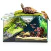 3 Gallon Glass Fish Tank Cube Wonderfactory Rimless Desktop Aquarium-6