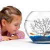 hygger Mini Glass Oblate Fish Bowl Kit, Small Fish Tank Comes with Blue Aquarium Decor Stones and Plastic Fan Branch Tree Ornament-4