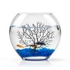 hygger Mini Glass Oblate Fish Bowl Kit, Small Fish Tank Comes with Blue Aquarium Decor Stones and Plastic Fan Branch Tree Ornament-5